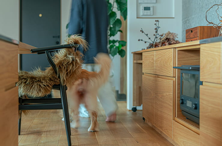 企画営業スタッフ